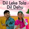 About Dil Leke Tola Dil Dehu Song